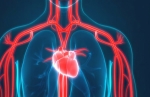 Comprehensive Circulatory System Tissue Microarrays