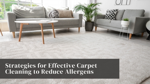 carpet cleaning strategies