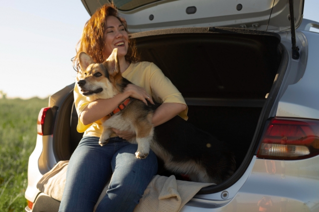 Health and safety tips for traveling with pets