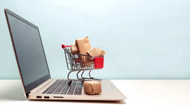 Examining E-Commerce Models for Your Business: a Guide for 2024