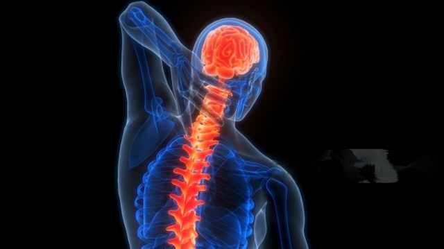 Exploring Deep Brain Stimulation for Parkinson's Disease Treatment