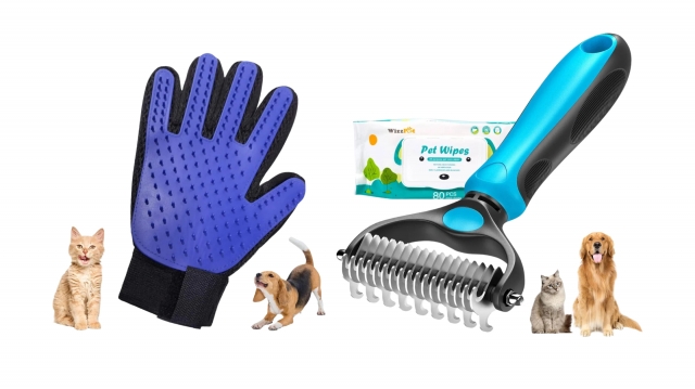 Importance of Pet Healthcare and Grooming