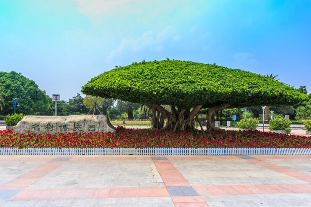 Benefits of FL Permeable Hardscape & Resin Solutions