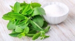  stevia zero calorie