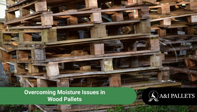 Overcoming Moisture Issues in Wood Pallets