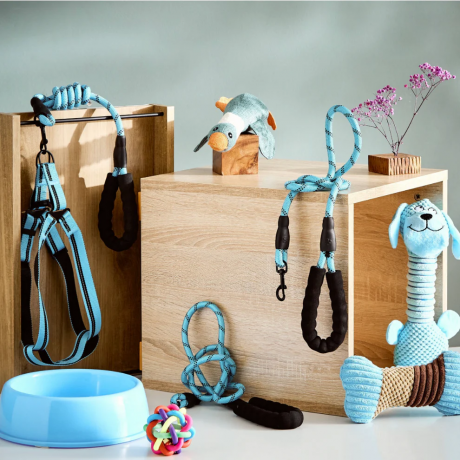Dog Harness vs. Collar: Which is the Best Option?