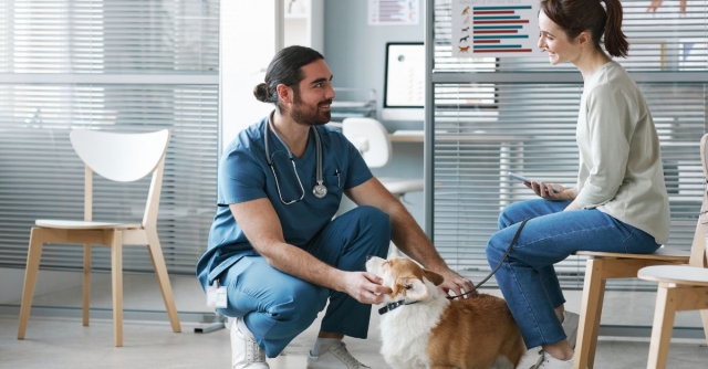 Maximize your vet practice efficiency