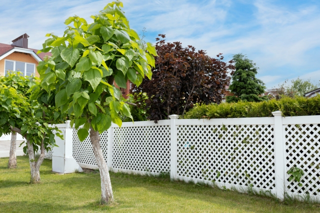 What You Should Know About Vinyl Fences