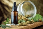 Discovering Quality CBD Near Me: A Comprehensive Guide