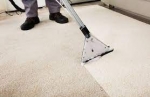 Carpet Cleaning