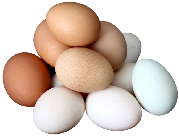 Eggs Market Size, Share, Growth, 2032