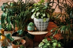 The Some Artistic Flair Into Your Space Head Flower Planter with Archadia Furniture Terminator Bust Sculpture Chief Florist Combining Nature and Art