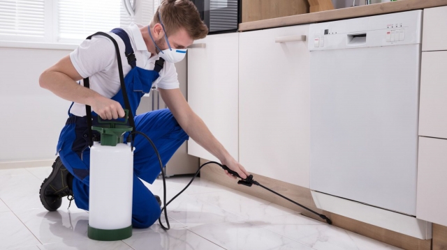Why You Need a “Pest Control Professional Near Me” for Impactful Solutions