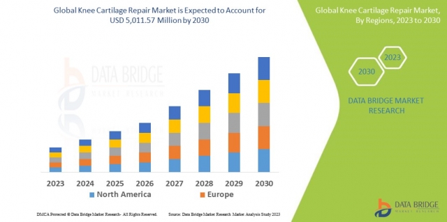 Knee Cartilage Repair  Trends: Growth, Share, Value, Size, and Analysis