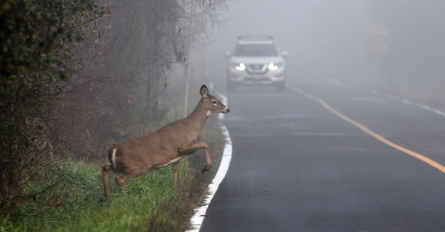 A Safer Drive: Common Road Hazards That Are Easy To Miss