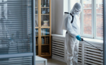 Effective Solutions for a Pest-Free Home for Pest Removal Services Newmarket