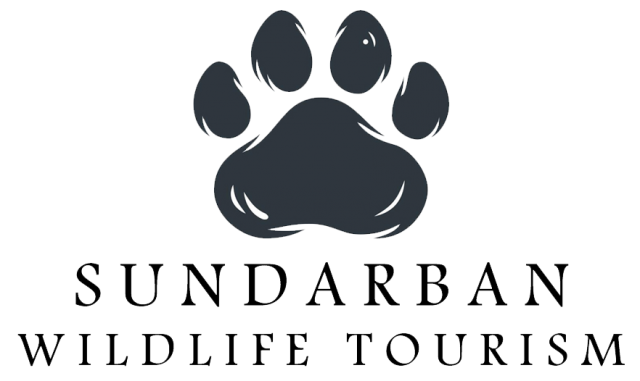 Discover the Best Wildlife Safaris in India: Explore Sundarban's Hidden Gems