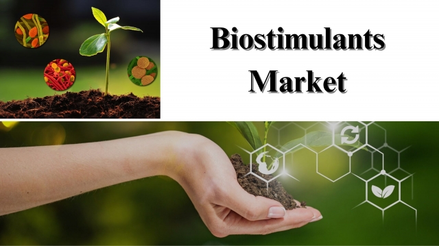 Biostimulants Market Size, Share, Trends, and Forecast to 2032