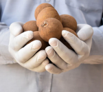 5 Best Foods to Eat for Weight Loss