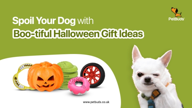 Spoil Your Dog with Boo-tiful Halloween Gift Ideas
