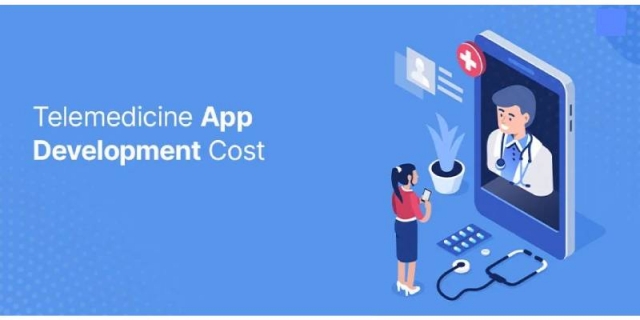 Telemedicine App Development Cost in 2024: An In-Depth Analysis