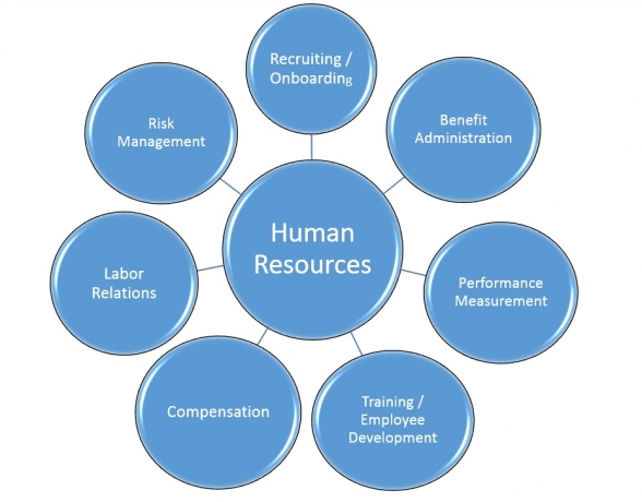 Still, Processing HR by Hand? HR Management Software Is Stunning