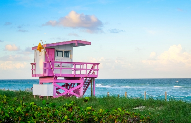 4 Miami Tourist Attractions You Need to Experience This Year