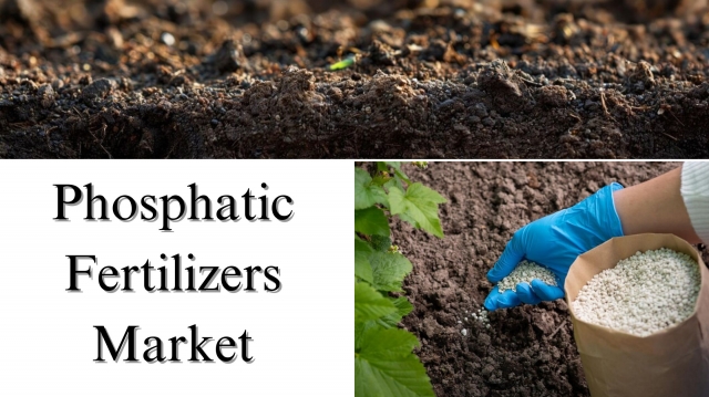 Phosphatic Fertilizers Market Size, Overview and Growth Trends Through 2032