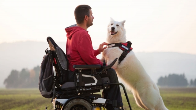 The Benefits of Investing in a Foldable Power Wheelchair