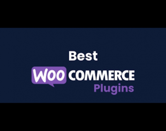 The Ultimate Guide Of 3 Top WooCommerce Extensions To Boost Your Store Sale