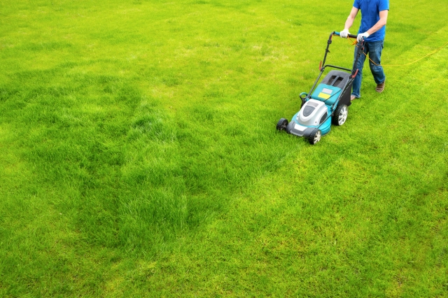 Discover the Best Lawn Care Services in Meridian, Idaho