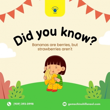 GoodEarth Montessori School: Shaping the Future through Montessori Education