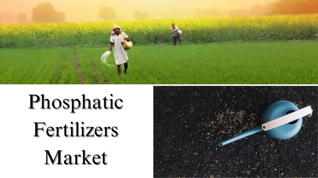 Phosphatic Fertilizers Market Size, Share, Analysis and Growth Forecast Through 2032