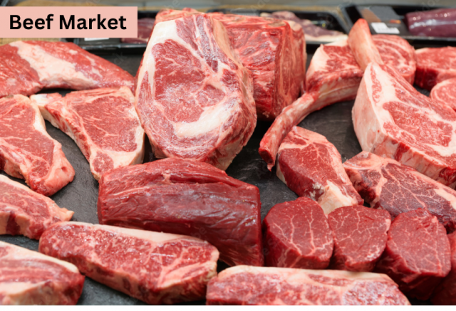 Beef Market Overview, Growth Forecasts, 2024-2032