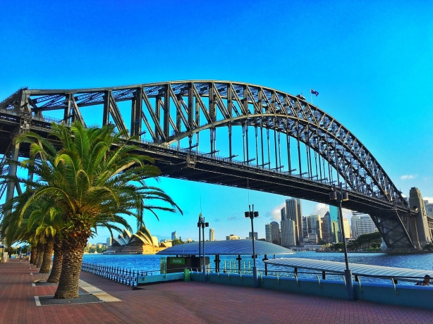 Sydney's Business Boom: Why New Ventures Are Thriving