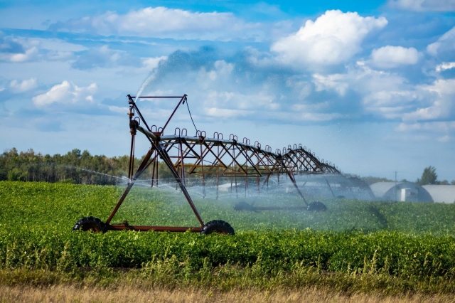 Irrigation Installation for Residential Properties in Saudi Arabia