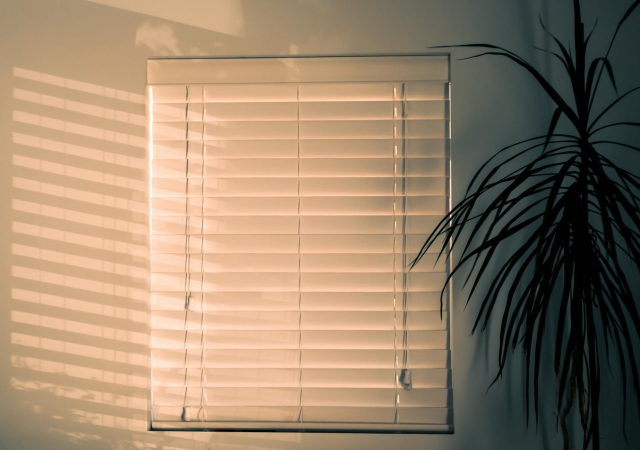 5 Tips for Choosing the Right Blinds for Your KY Home?