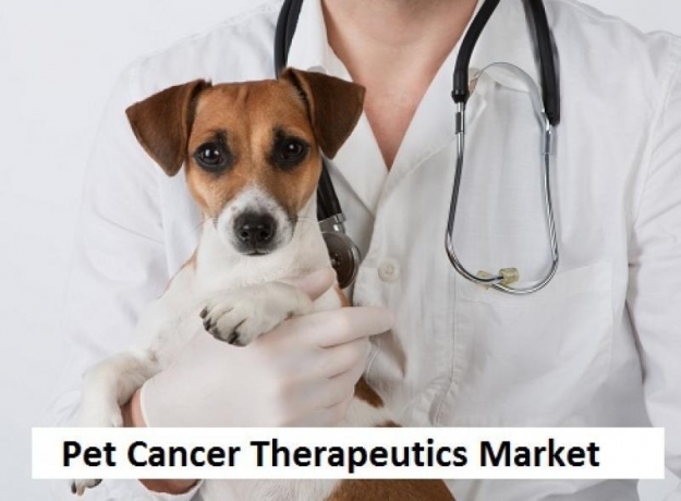 Pet Cancer Therapeutics Market Size and Growth Forecast