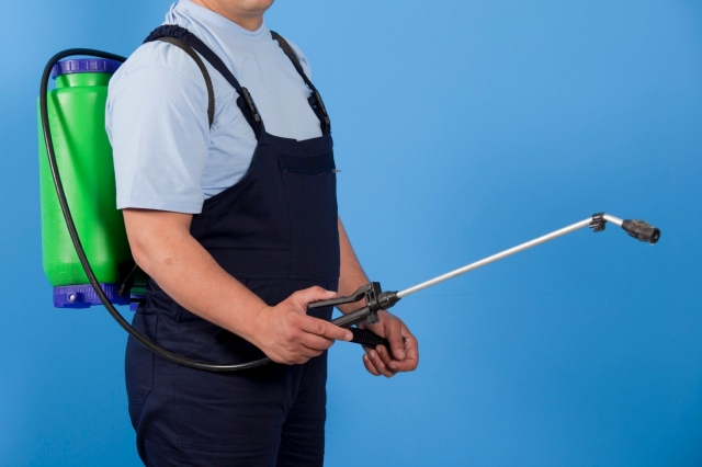 Question To Ask When Hiring Pest Control Services