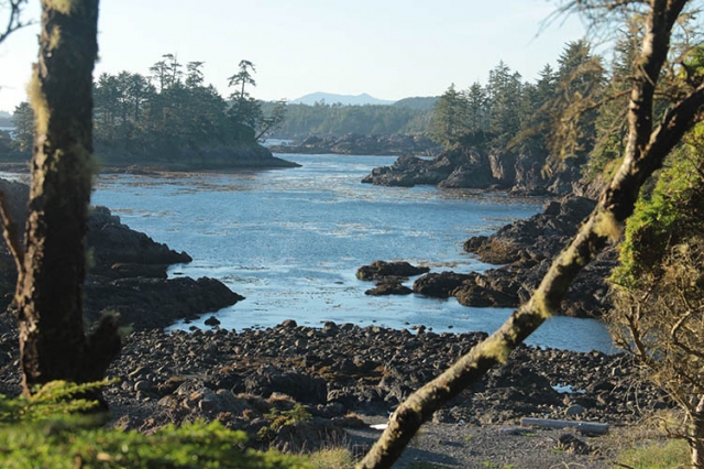 Explore Vacation Rentals Near Tofino & Ucluelet's Breathtaking Beaches