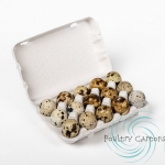 Sustainable Egg Cartons by Poultry Cartons: Quality You Can Trust