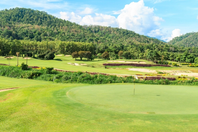 Strategic components of golf course maintenance.