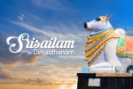Travel from Hyderabad to Srisailam by Cab and Taxi: A Complete Guide