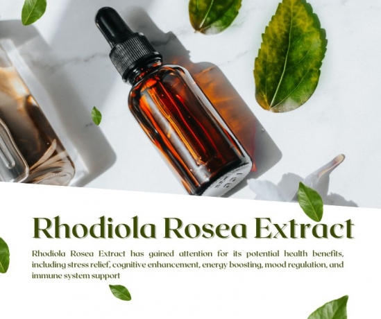 Rhodiola Rosea Extract: Unveiling the Potential Health Benefits