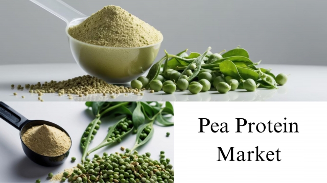 Pea Protein Market Size, Share, Growth Insights and Forecast Through 2032