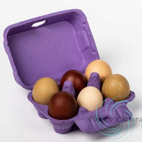 Poultry Cartons: Durable Egg Cartons & Cardboard Packaging for Freshness and Safety
