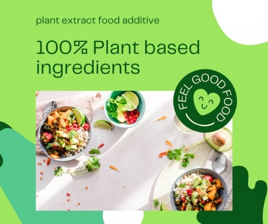 Enhancing Food Quality with Plant Extract Food Additives