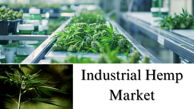 Industrial Hemp Market Size, Share, & Growth Forecast to 2032