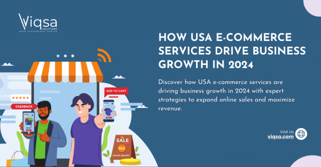  E-commerce services in the USA