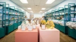 Mission Refill: Embrace Zero-Waste Living with Santa Barbara’s Best Refill Store